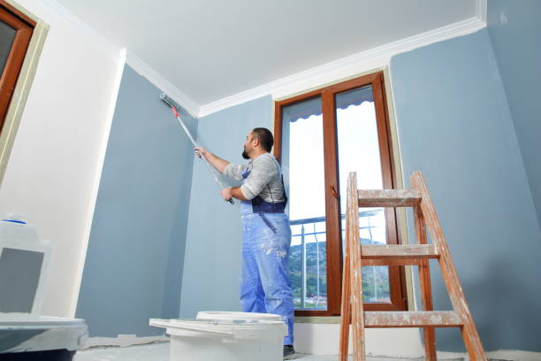 Best Basement Mold Removal  in Ellisville, MO
