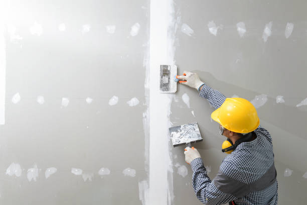 Mold Remediation for Rental Properties in Ellisville, MO
