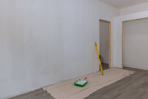 Best Residential Mold Inspection & Testing  in Ellisville, MO