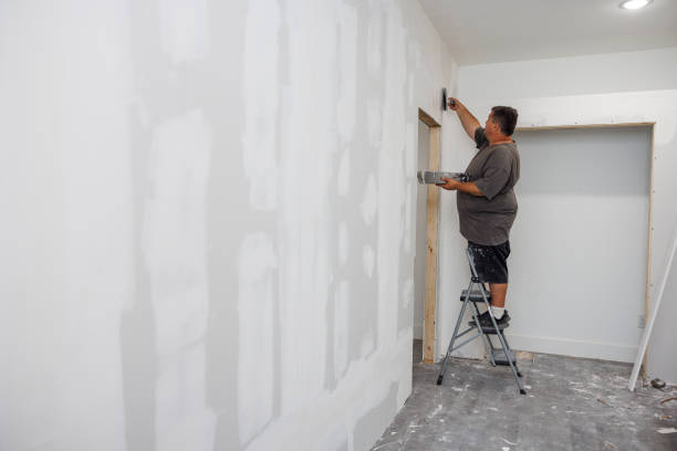 Professional Mold Removal in Ellisville, MO